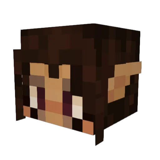 brydiezilla Minecraft avatar head, 3D render