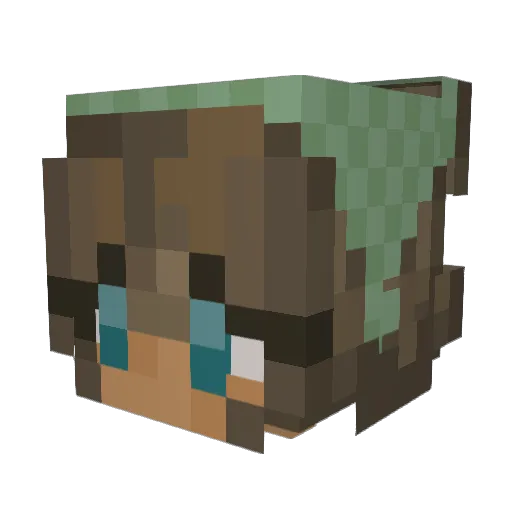 brynnagracee Minecraft avatar head, 3D render