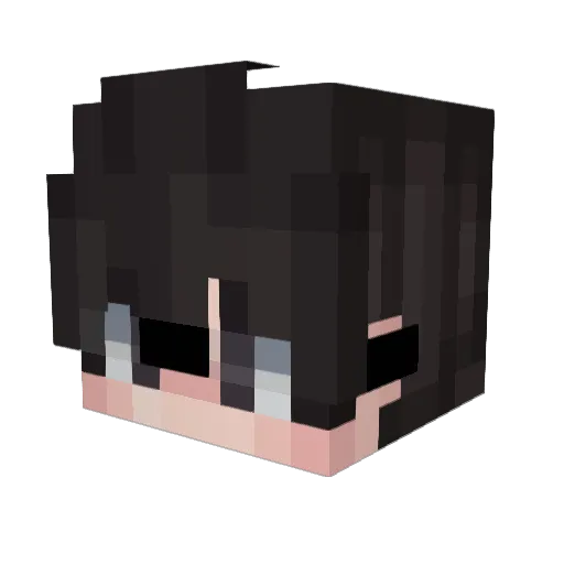 bryoreo Minecraft avatar head, 3D render
