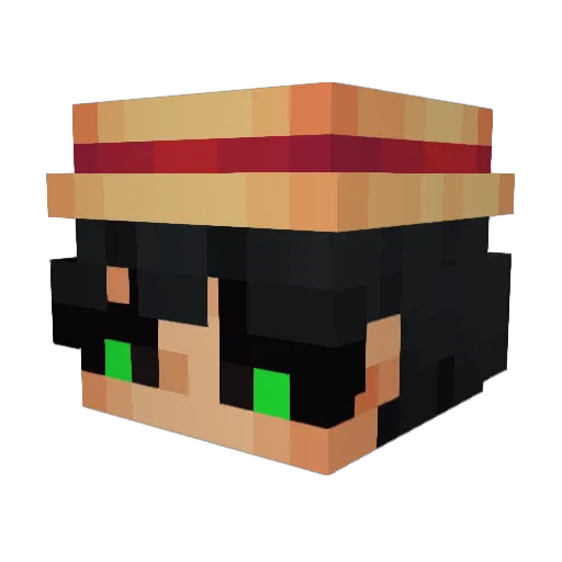 bryyyyan1 Minecraft avatar head, 3D render
