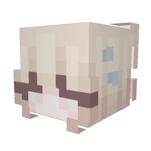bseolgi Minecraft avatar head, 3D render