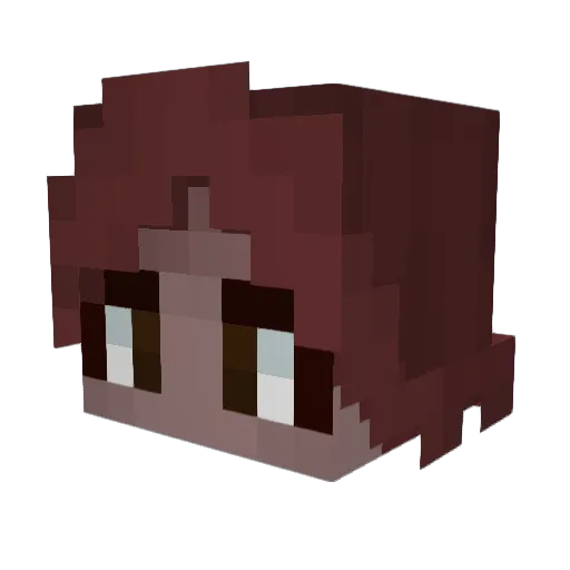 bsj_004 Minecraft avatar head, 3D render