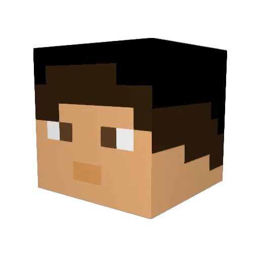 bskull Minecraft avatar head, 3D render
