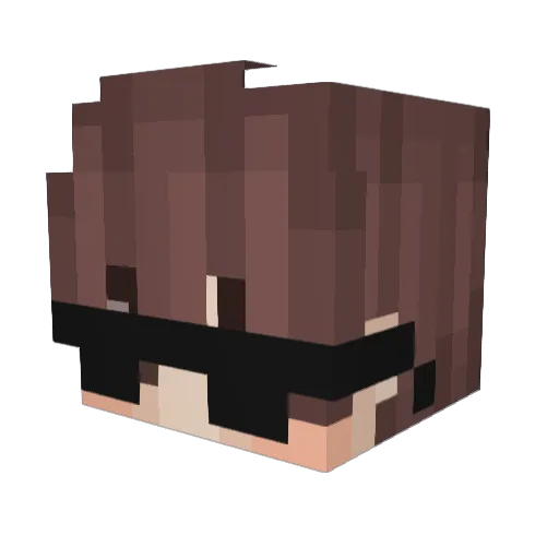 bsmnpi Minecraft avatar head, 3D render