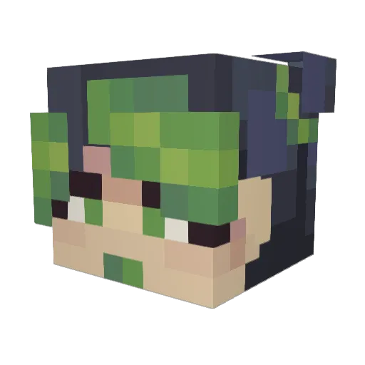 bstewar6 Minecraft avatar head, 3D render