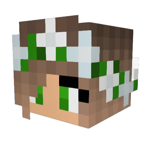 bswi_1 Minecraft avatar head, 3D render