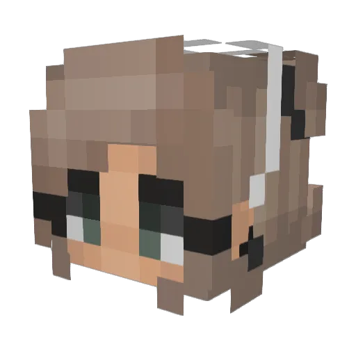 bt5 Minecraft avatar head, 3D render