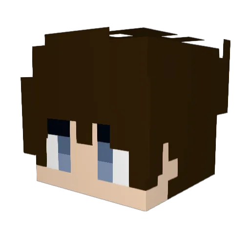 bta2013 Minecraft avatar head, 3D render