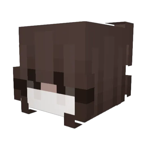 btc_39shgkgbrku3 Minecraft avatar head, 3D render