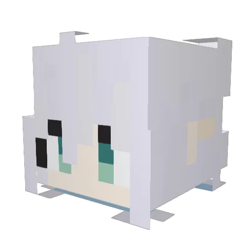 bthesunshine Minecraft avatar head, 3D render