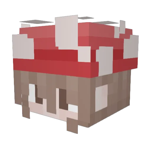 btookiecookie Minecraft avatar head, 3D render