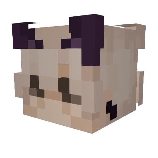 bts_disband Minecraft avatar head, 3D render