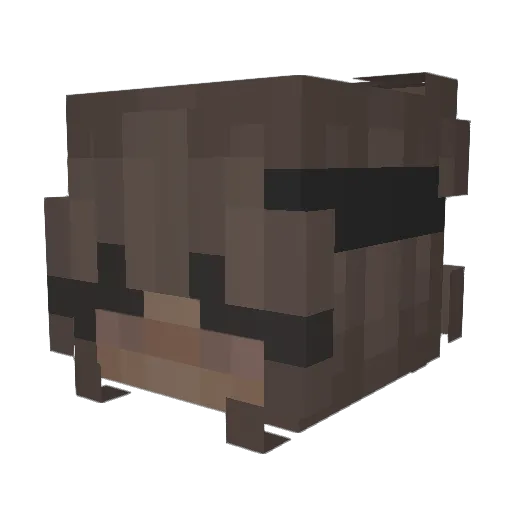 btw_leoniex Minecraft avatar head, 3D render