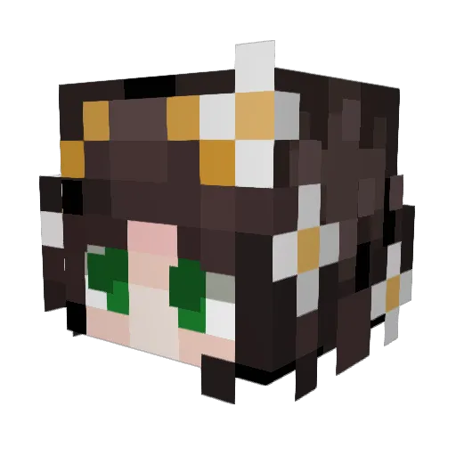 bu55ymonster Minecraft avatar head, 3D render