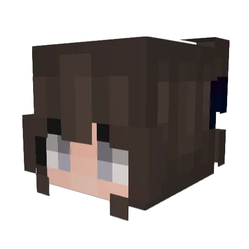 bubaseal Minecraft avatar head, 3D render