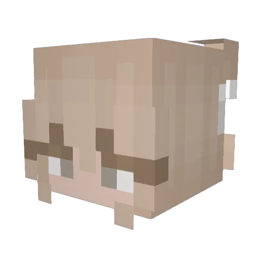 bubba270684 Minecraft avatar head, 3D render