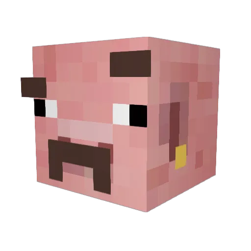 bubbabunga Minecraft avatar head, 3D render