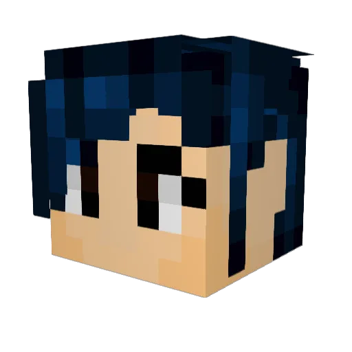 bubbadud Minecraft avatar head, 3D render