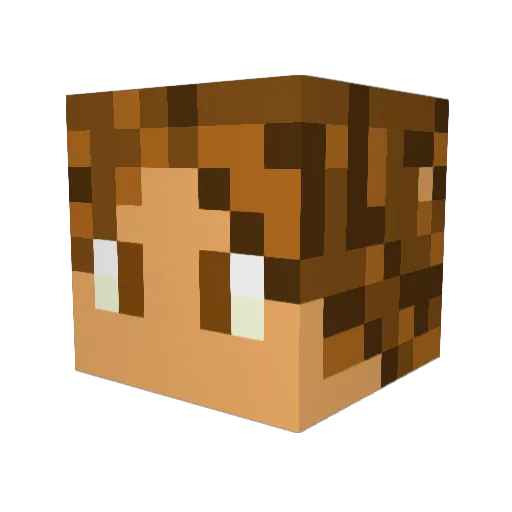 bubbameh Minecraft avatar head, 3D render