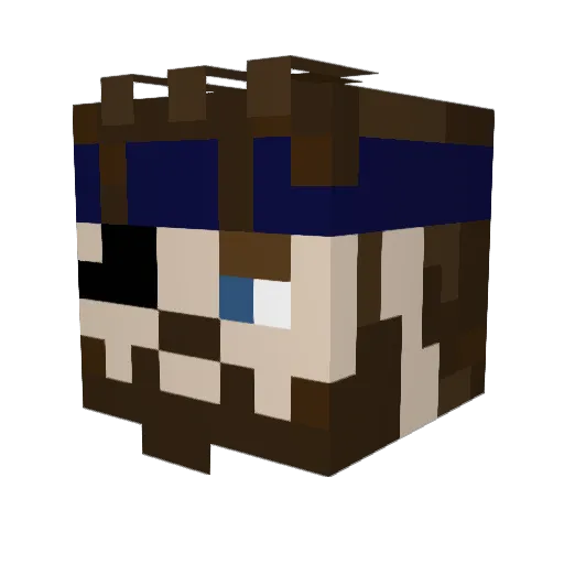 bubbarodeo Minecraft avatar head, 3D render