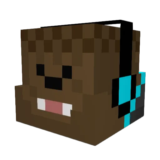 bubbawubz Minecraft avatar head, 3D render