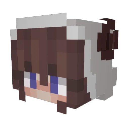 bubbcat Minecraft avatar head, 3D render