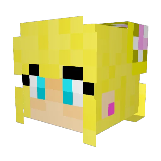 bubbele66 Minecraft avatar head, 3D render