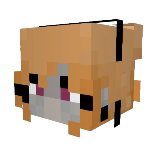 bubblbatz Minecraft avatar head, 3D render