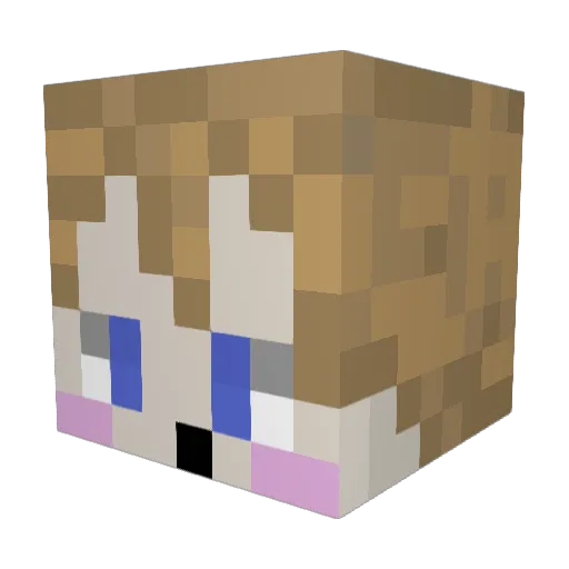 bubble___16 Minecraft avatar head, 3D render