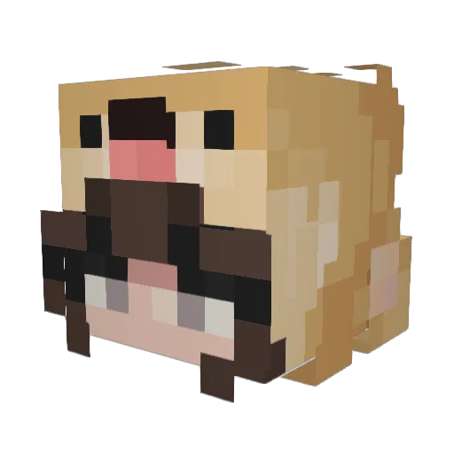 bubbledtea Minecraft avatar head, 3D render