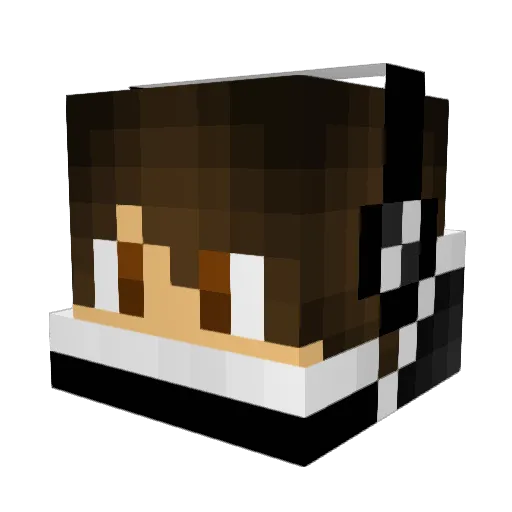 bubbleface234 Minecraft avatar head, 3D render