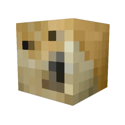 bubbleface960 Minecraft avatar head, 3D render
