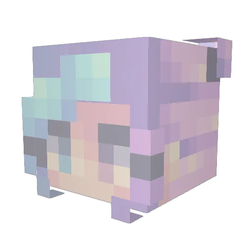 bubblegirlie Minecraft avatar head, 3D render