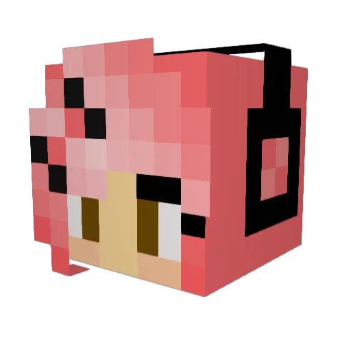 bubblegum1000000 Minecraft avatar head, 3D render