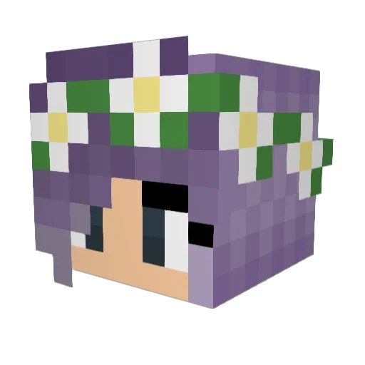 bubblegum241 Minecraft avatar head, 3D render