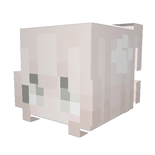 bubblegum26 Minecraft avatar head, 3D render