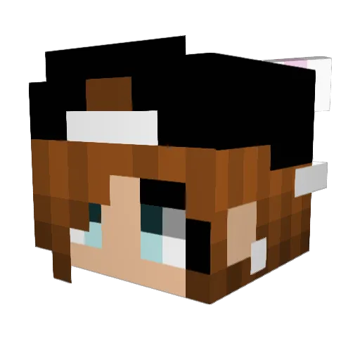 bubblegum_kk Minecraft avatar head, 3D render