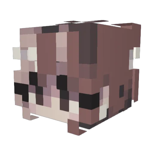 bubblegumi Minecraft avatar head, 3D render