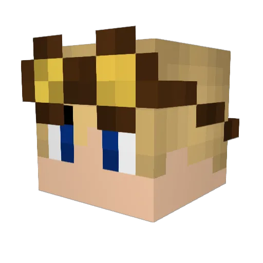 bubbleguy3000 Minecraft avatar head, 3D render