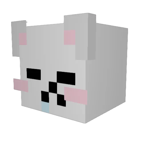 bubblenuggget2 Minecraft avatar head, 3D render