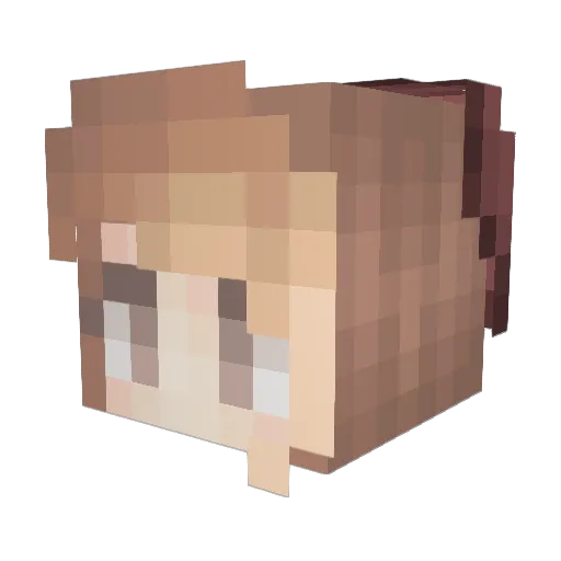 bubblepop66 Minecraft avatar head, 3D render