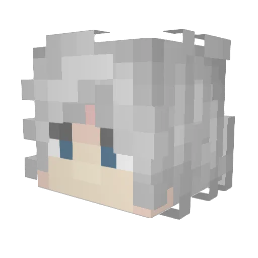 bubblerapper456 Minecraft avatar head, 3D render
