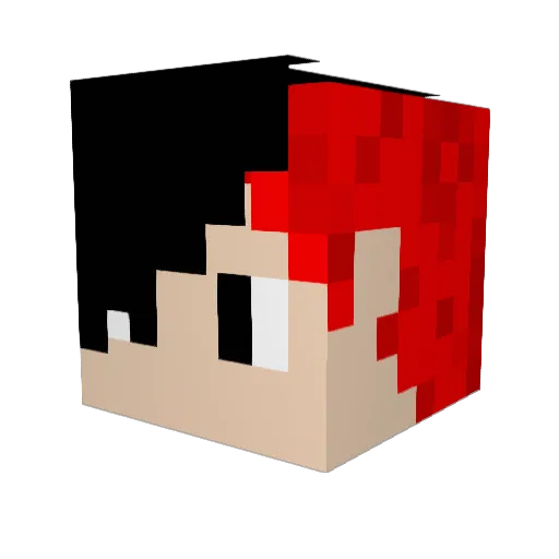 bubbles0529 Minecraft avatar head, 3D render