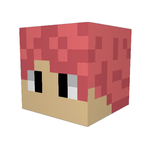 bubblesdw Minecraft avatar head, 3D render
