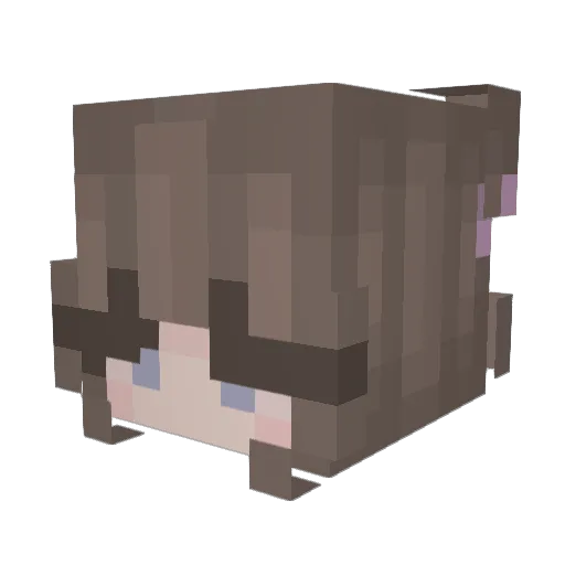 bubbless4 Minecraft avatar head, 3D render