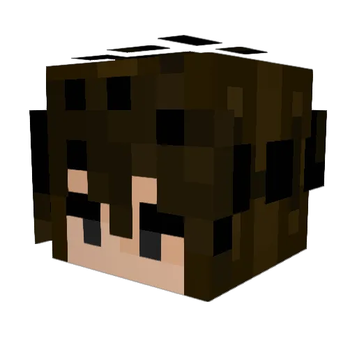 bubbletealover Minecraft avatar head, 3D render