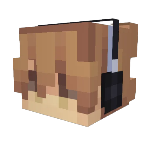 bubblez1210 Minecraft avatar head, 3D render