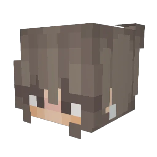 bubblez6998 Minecraft avatar head, 3D render