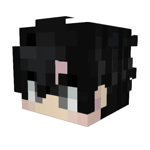 bubblezee Minecraft avatar head, 3D render