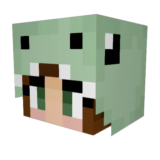 bubblybella11 Minecraft avatar head, 3D render